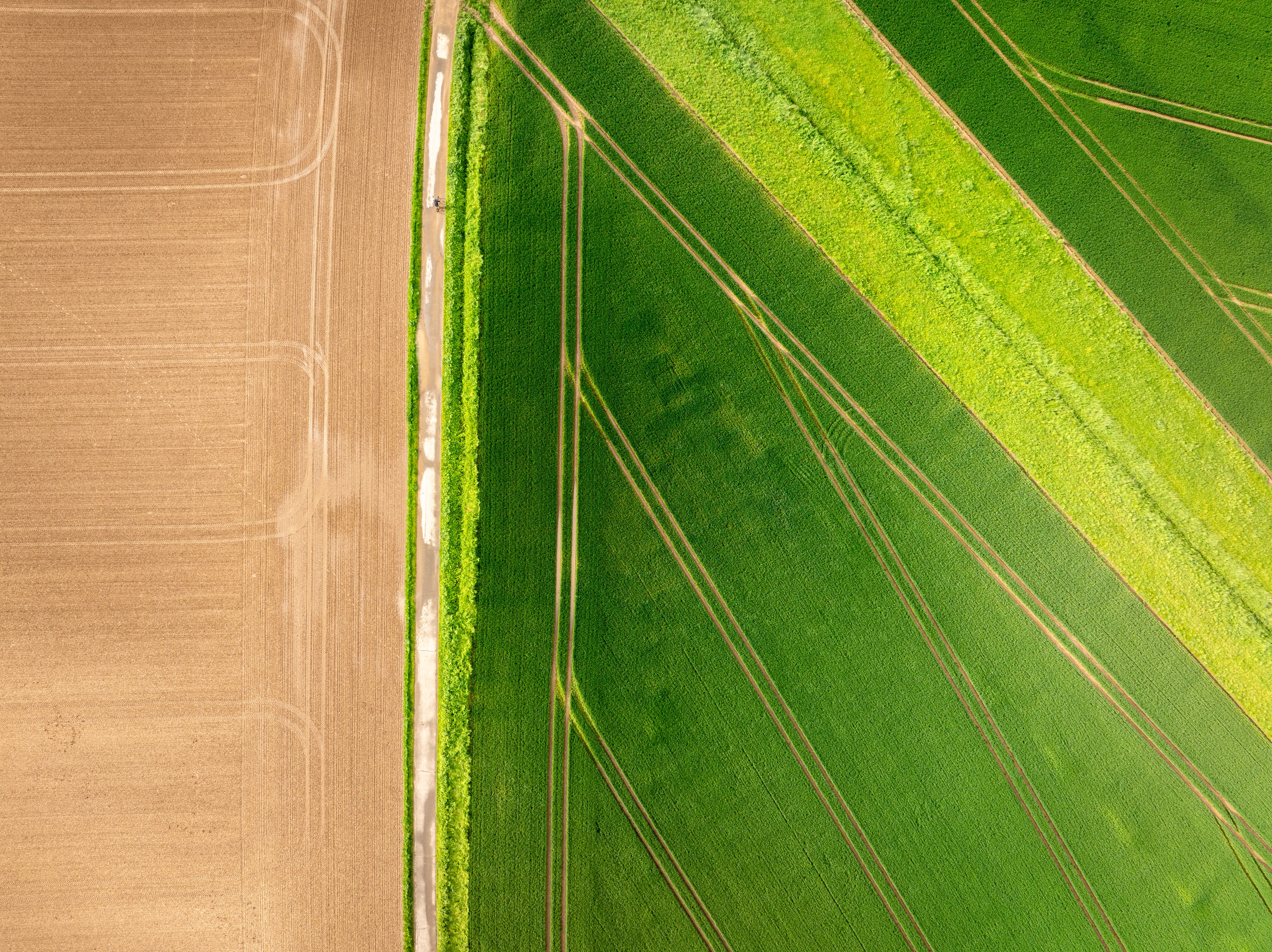 Drohne_Landwirtschaft