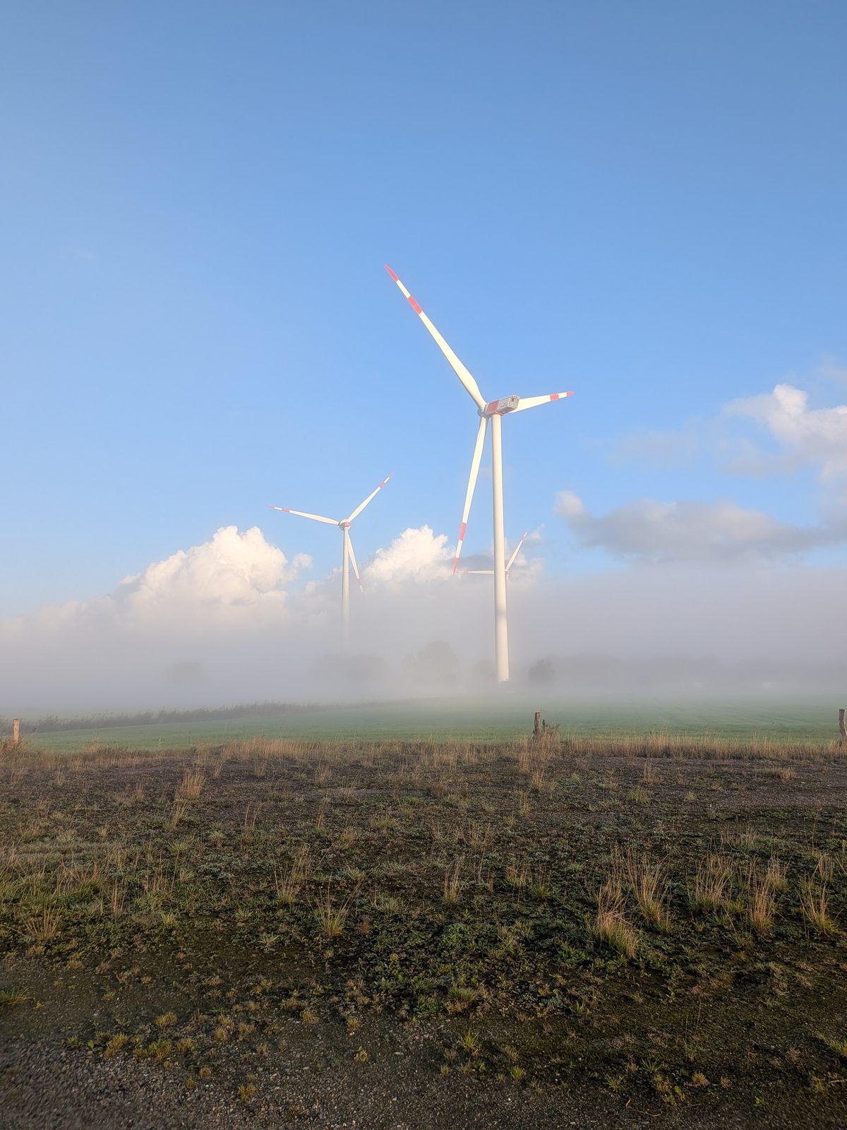 Windenergieanlagen mit rot markierten Rotorblattspitzen über einer Nebelbank, darüber blauer Himmel